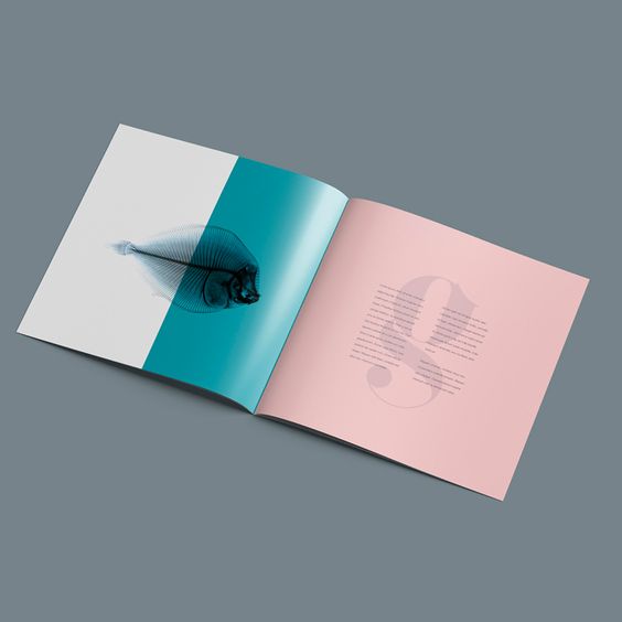 Opengeslagen brochureontwerp met visillustratie in turquoise en een roze pagina, op grijze achtergrond