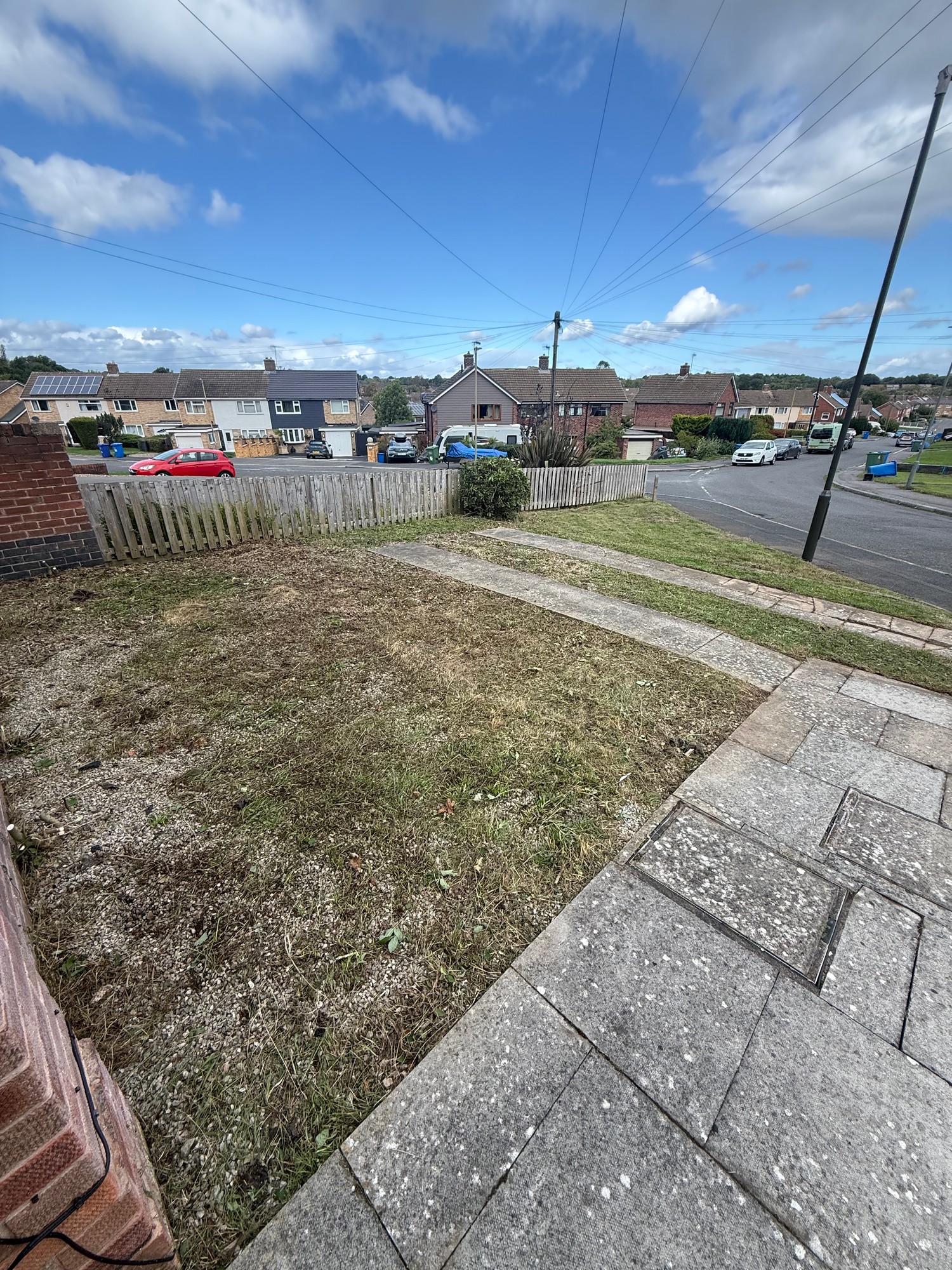Garden with long grass, weeds and dense overgrowth