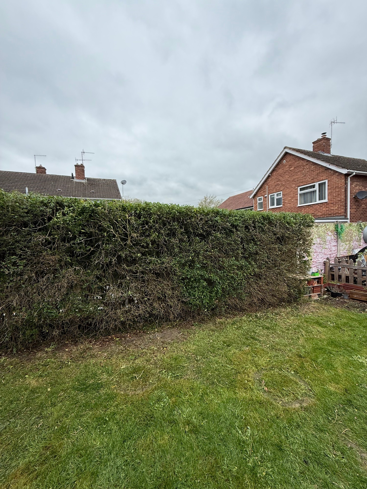 Neatly trimmed hedge with an even, level finish after cutting