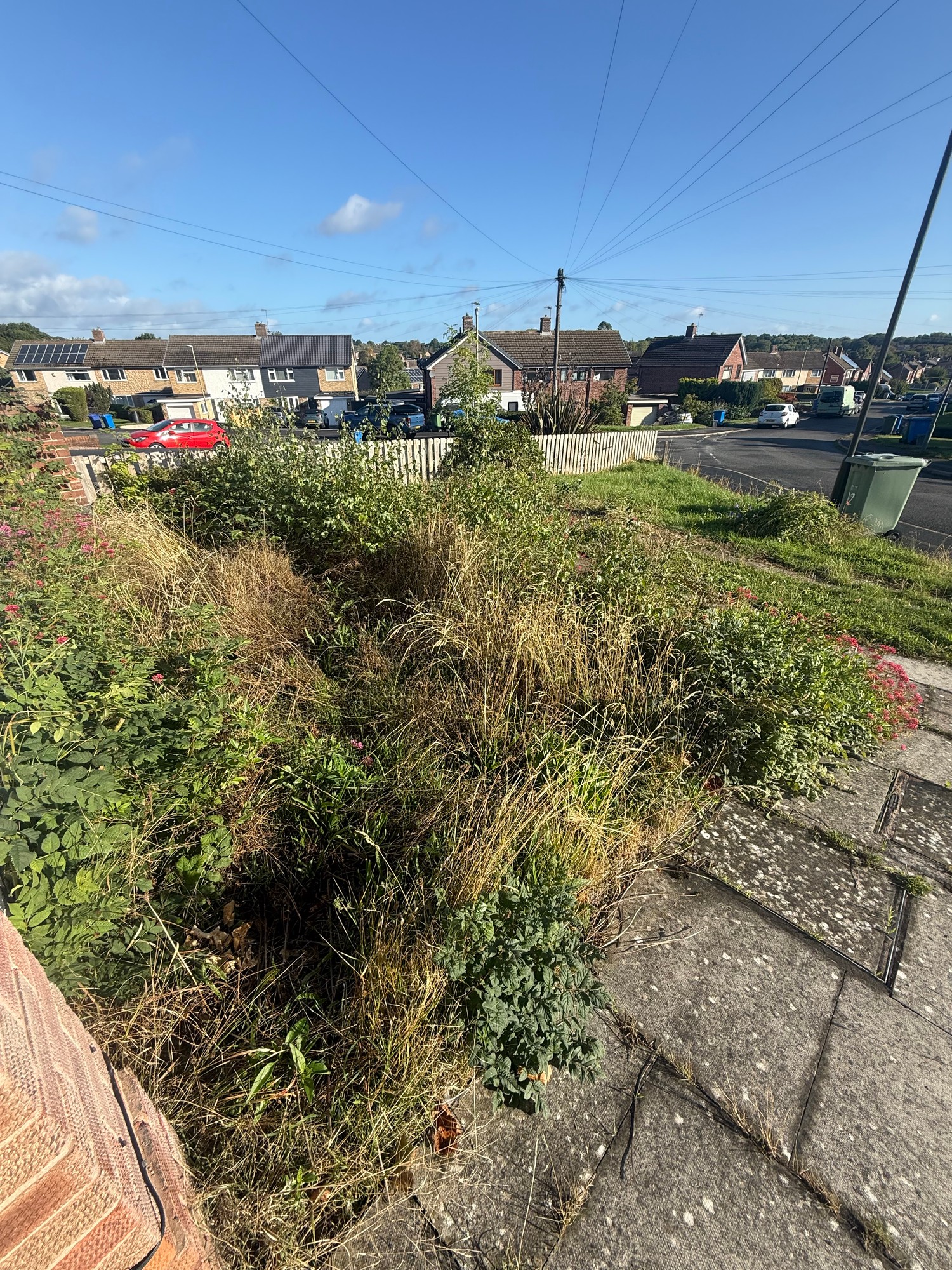 Garden with cut grass and tidy borders