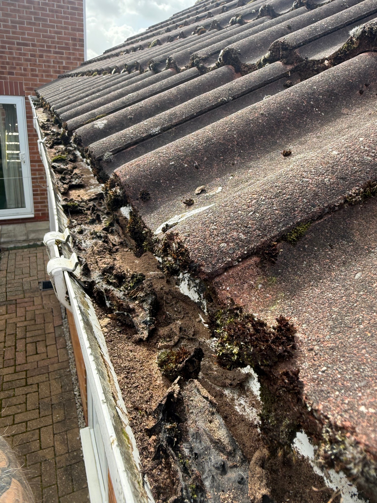 Gutter blocked with moss and debris before a professional gutter clean