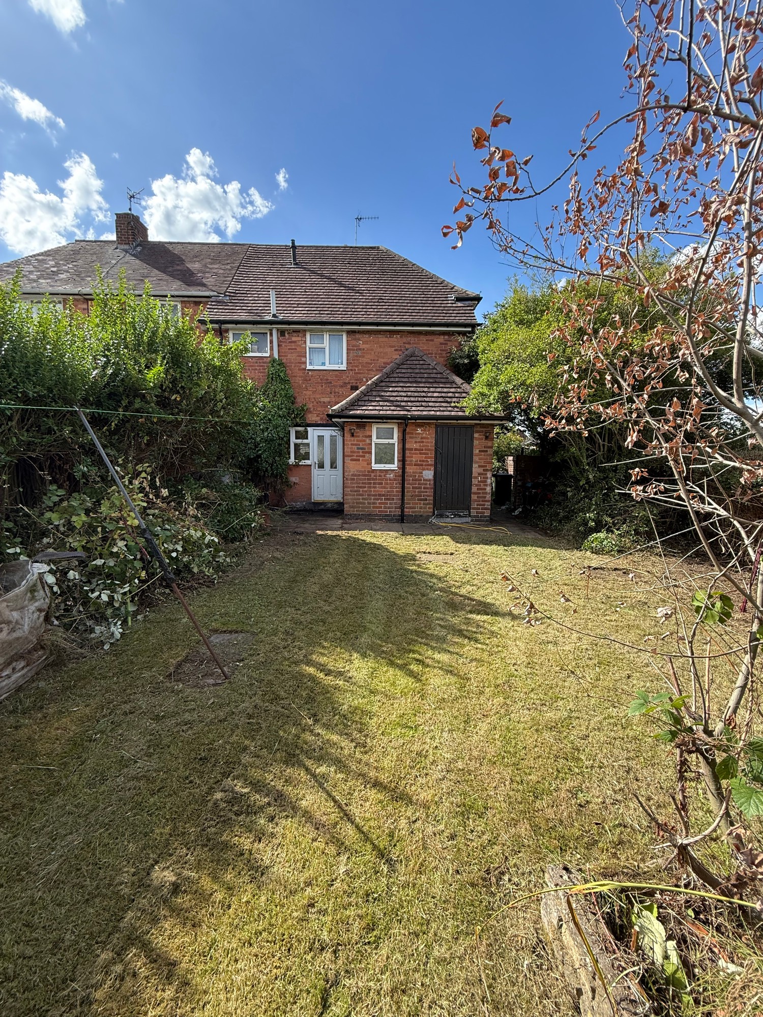 Same back garden with the lawn mowed and brambles cleared