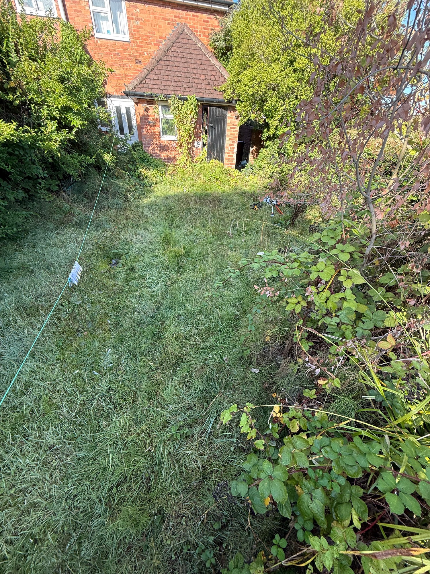 Overgrown back garden lawn with long grass and brambles before work
