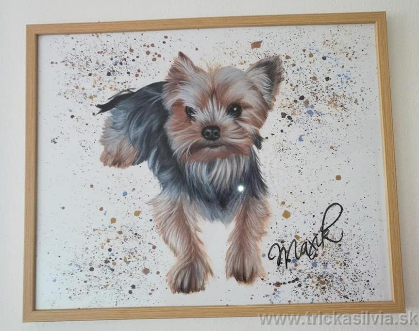Maľované tričko 19