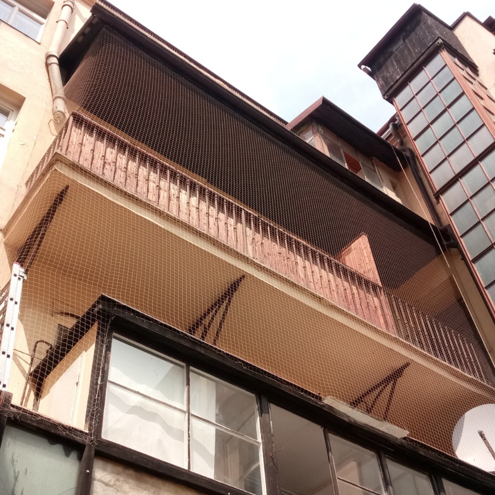 Sítě a hroty proti ptákům