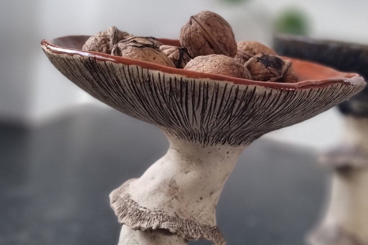 Herfst paddestoelen
