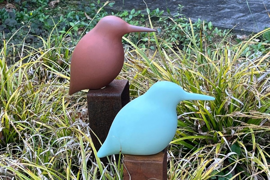 Birdz Limited