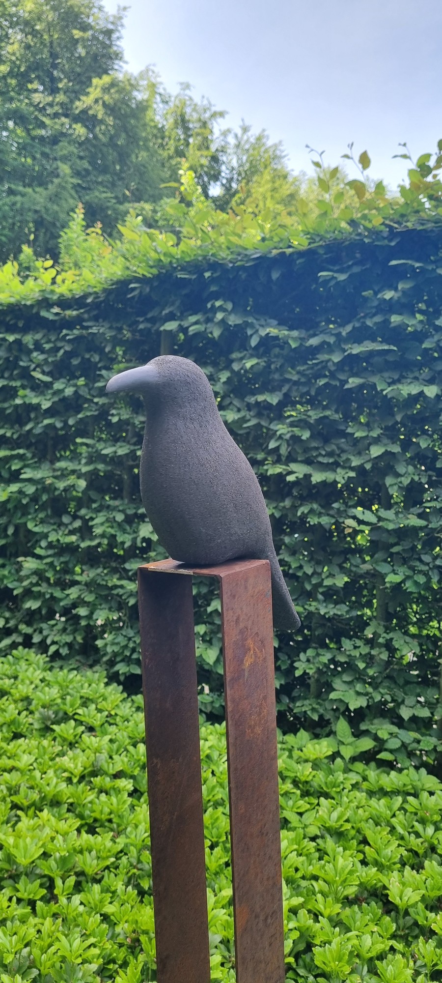 Black Crow King