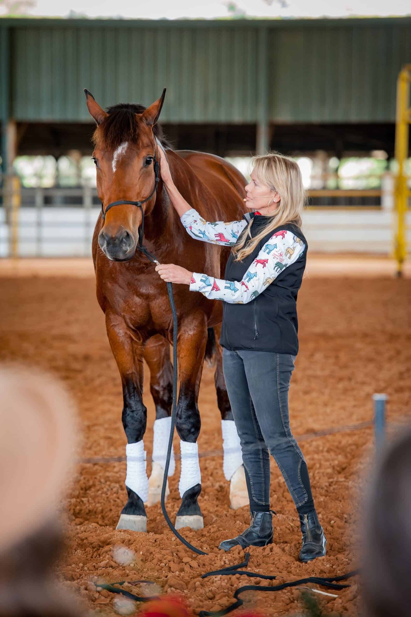 Linda Parelli connecting with a horse on the ground