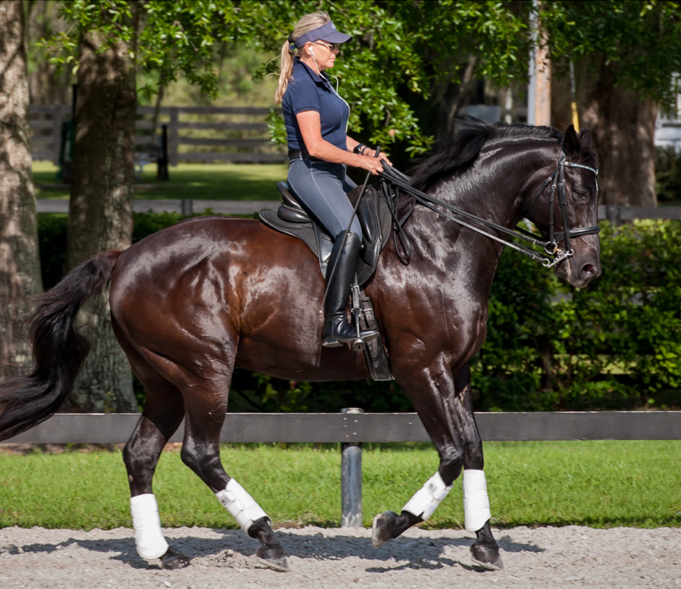 Linda Parelli riding her horse outdoors
