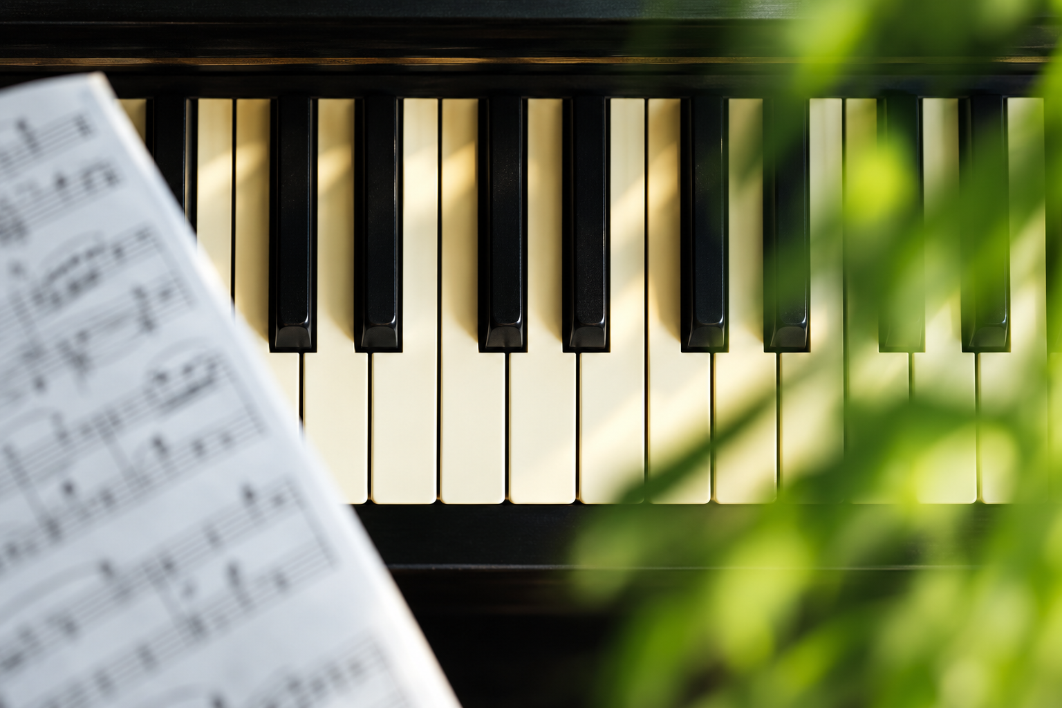 Piano keys in warm sunlight with soft green foliage