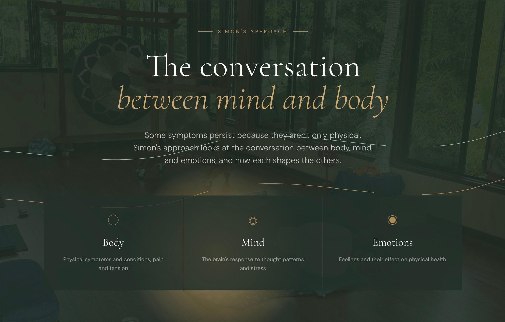 Mind Body Acupuncture website