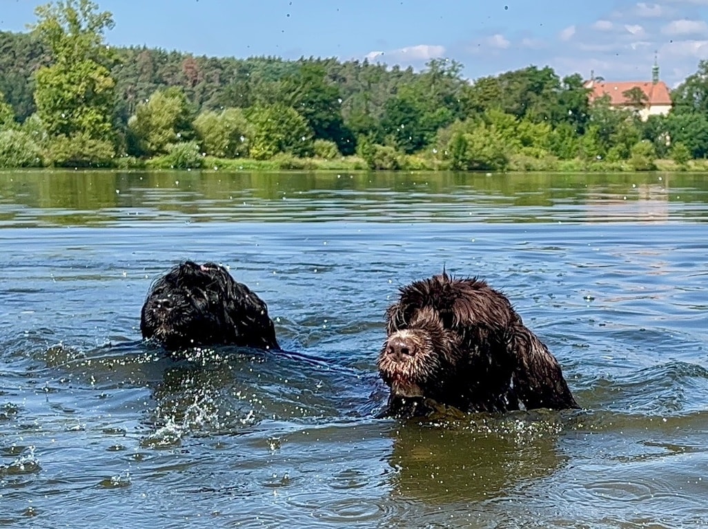 Fotografie Izi - obrázek 18