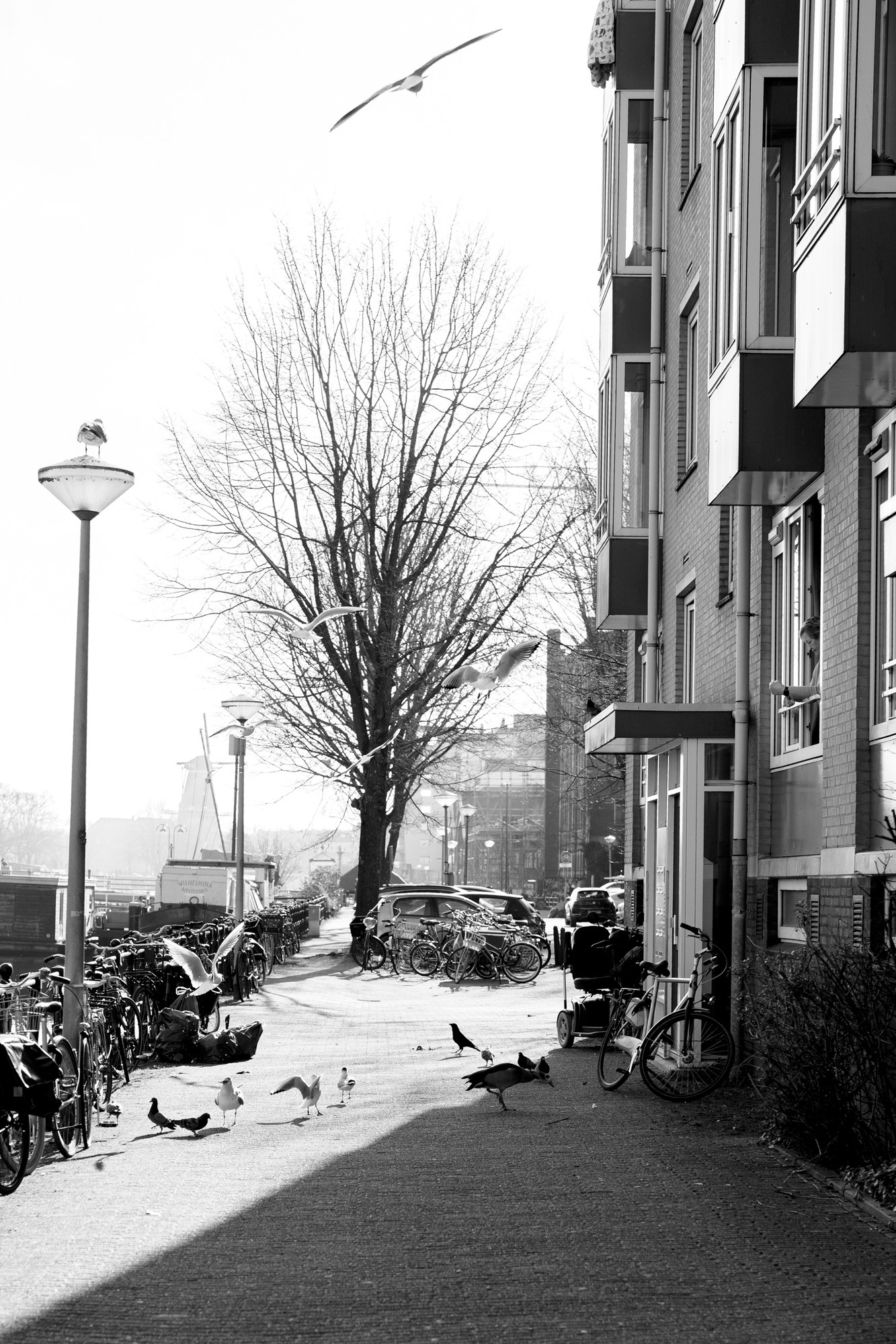 Amsterdam — fotografie 18