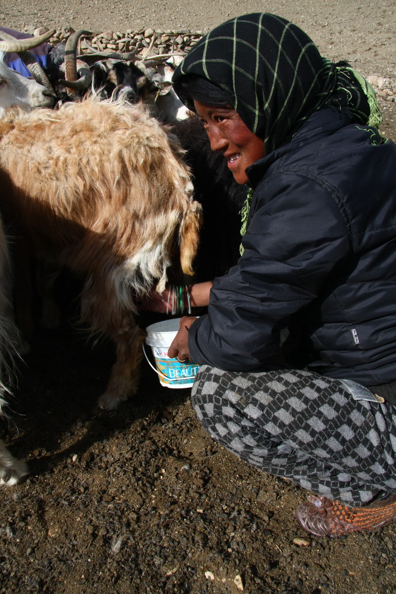 Nový Tibet 2011 — fotografie 17