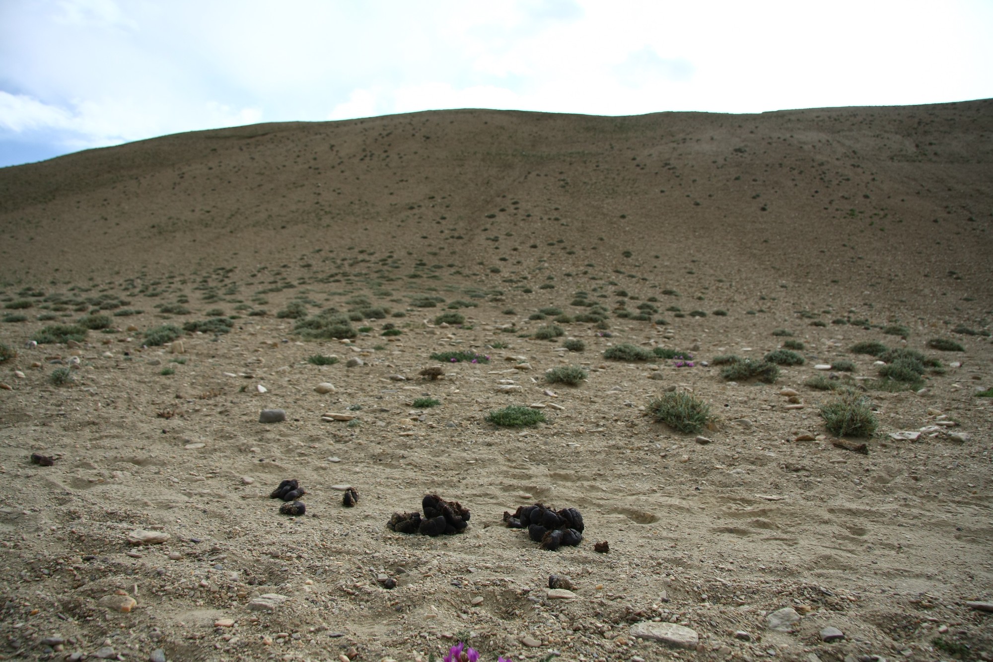 Nový Tibet 2011 — fotografie 45