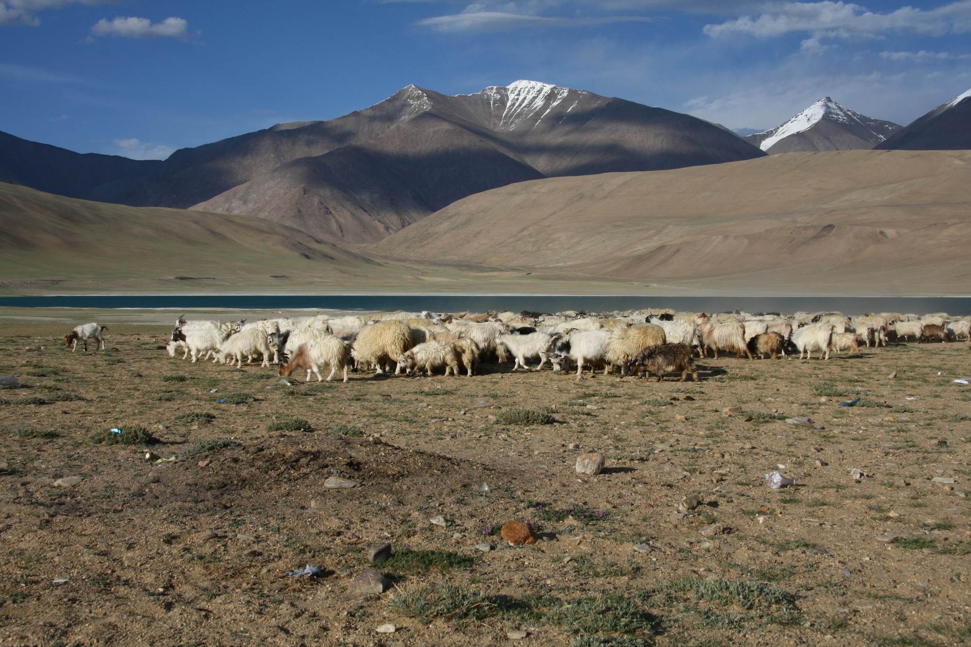 Nový Tibet 2011 — fotografie 6