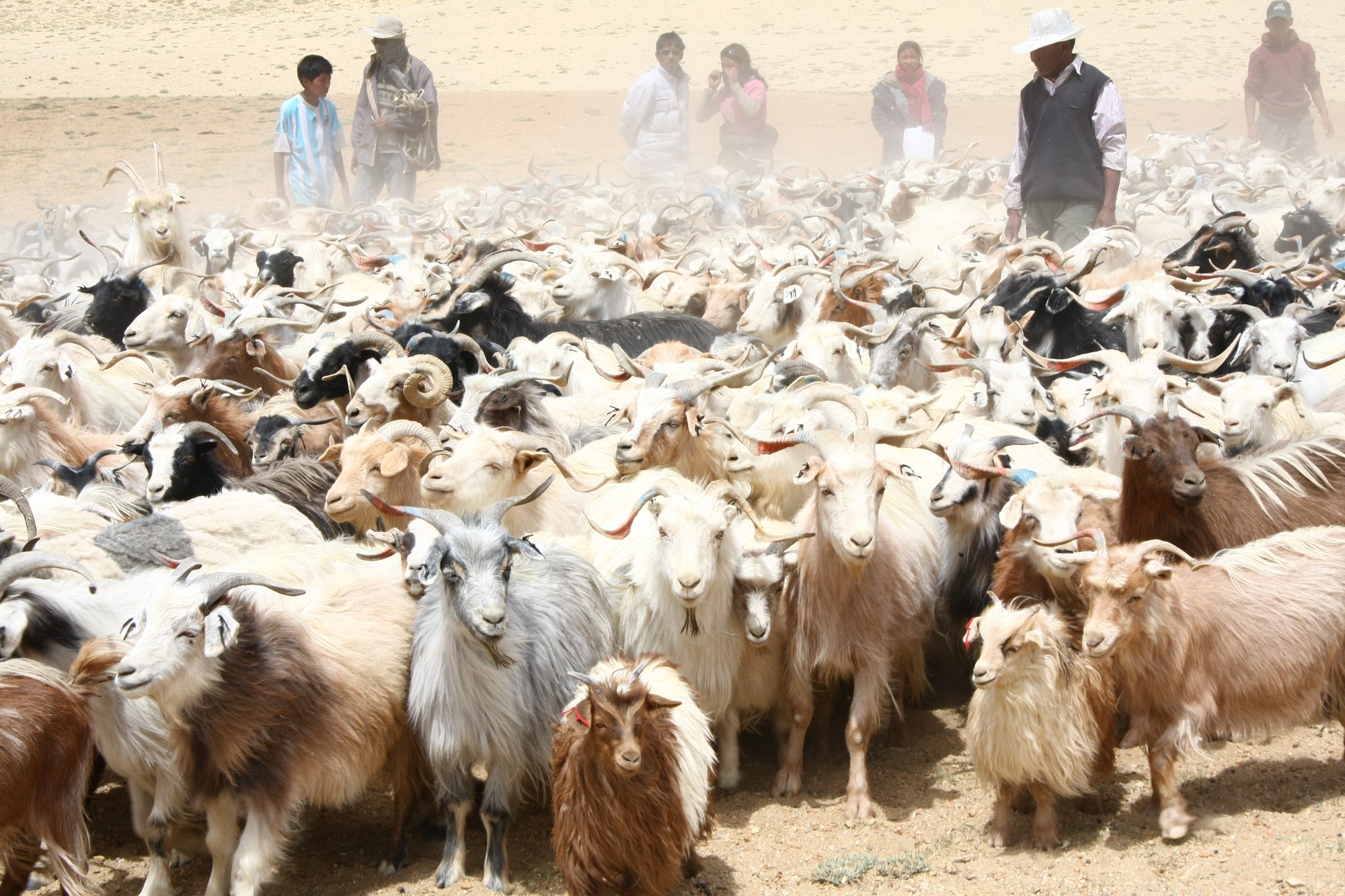 Nový Tibet 2011 — fotografie 5