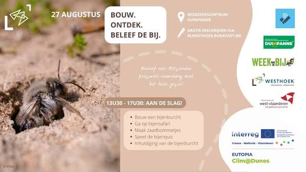 Affiche voor Bijenburcht bouwen in Duinpanne op 27 augustus
