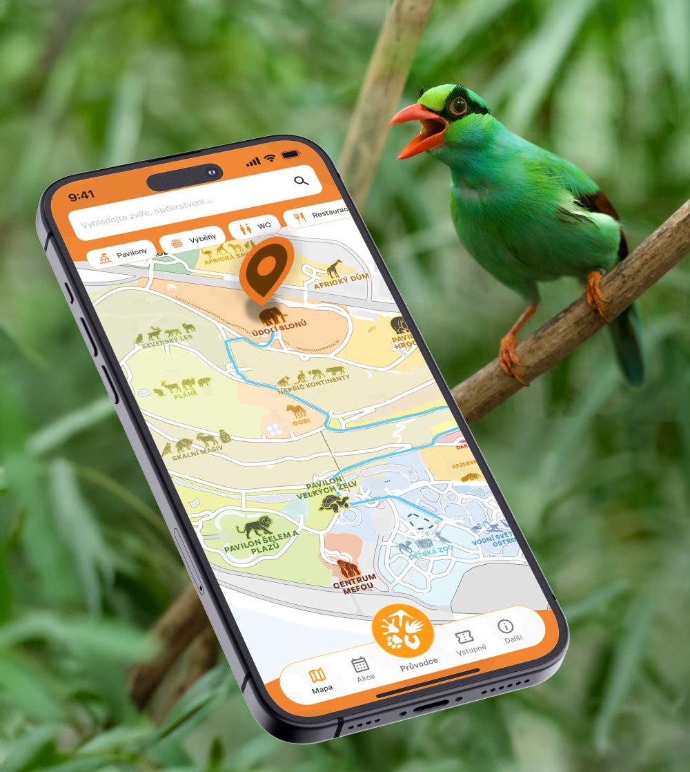 Zoo Praha spustila mobilní aplikaci – vstupenky, mapa i profily zvířat v kapse