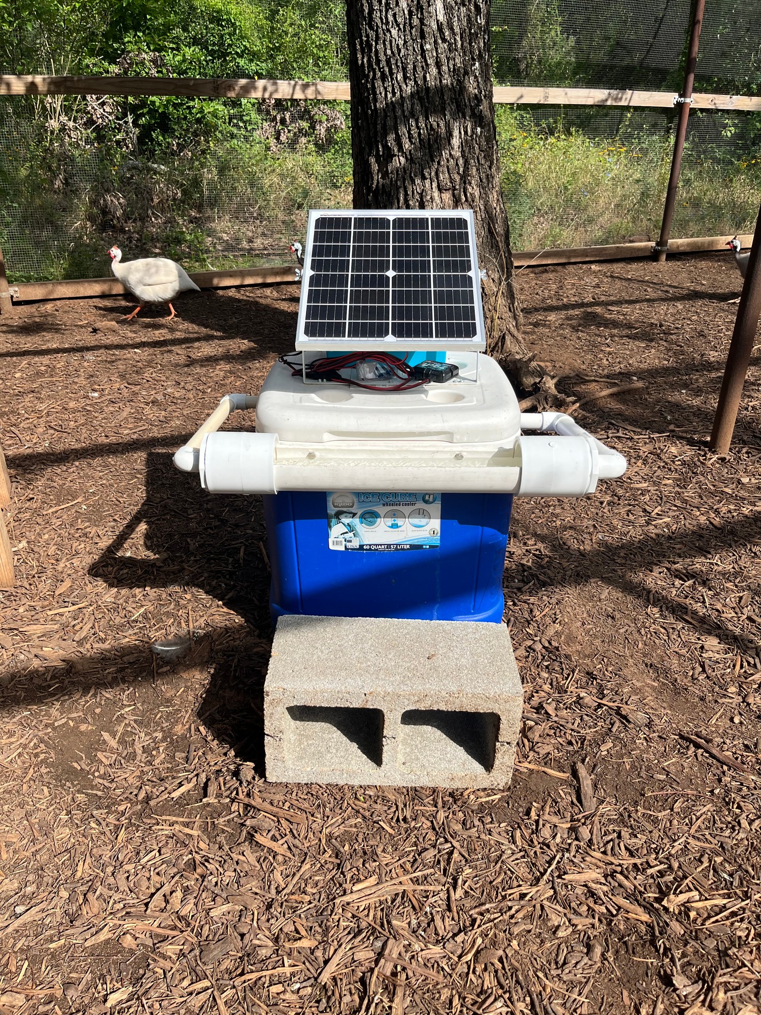 FlowTrough solar poultry water system with PVC trough and solar panel in a chicken run