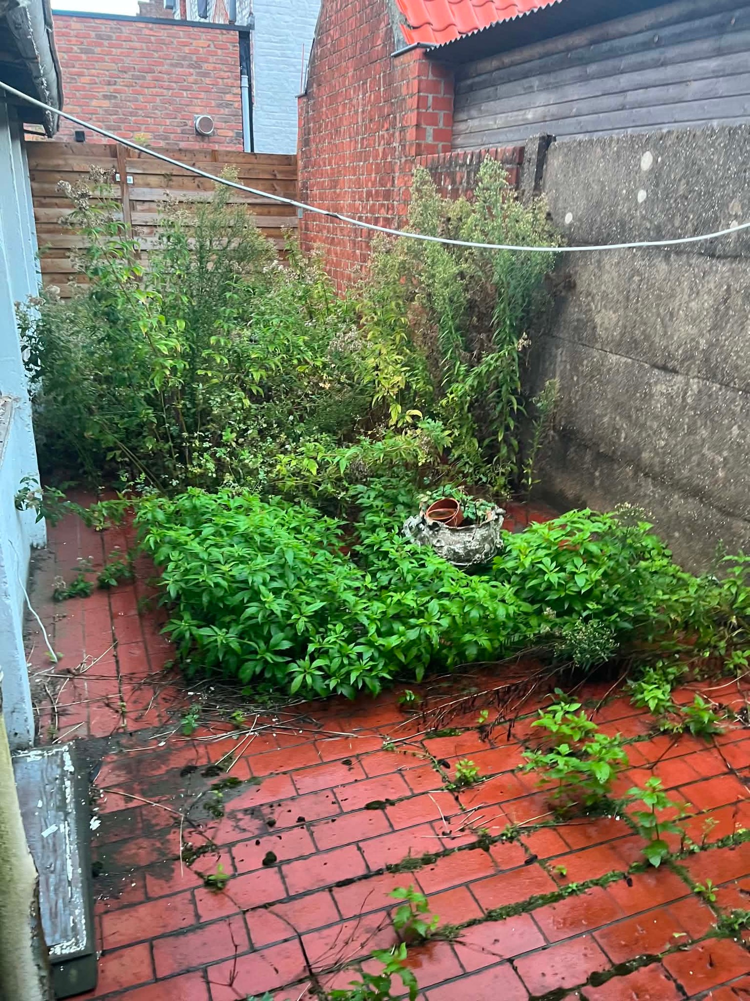 Leegmaken woningen, projectfoto 4