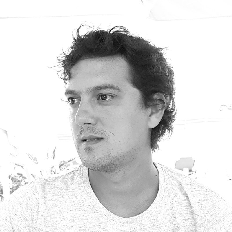 Nicusor Vucescu, Product Director