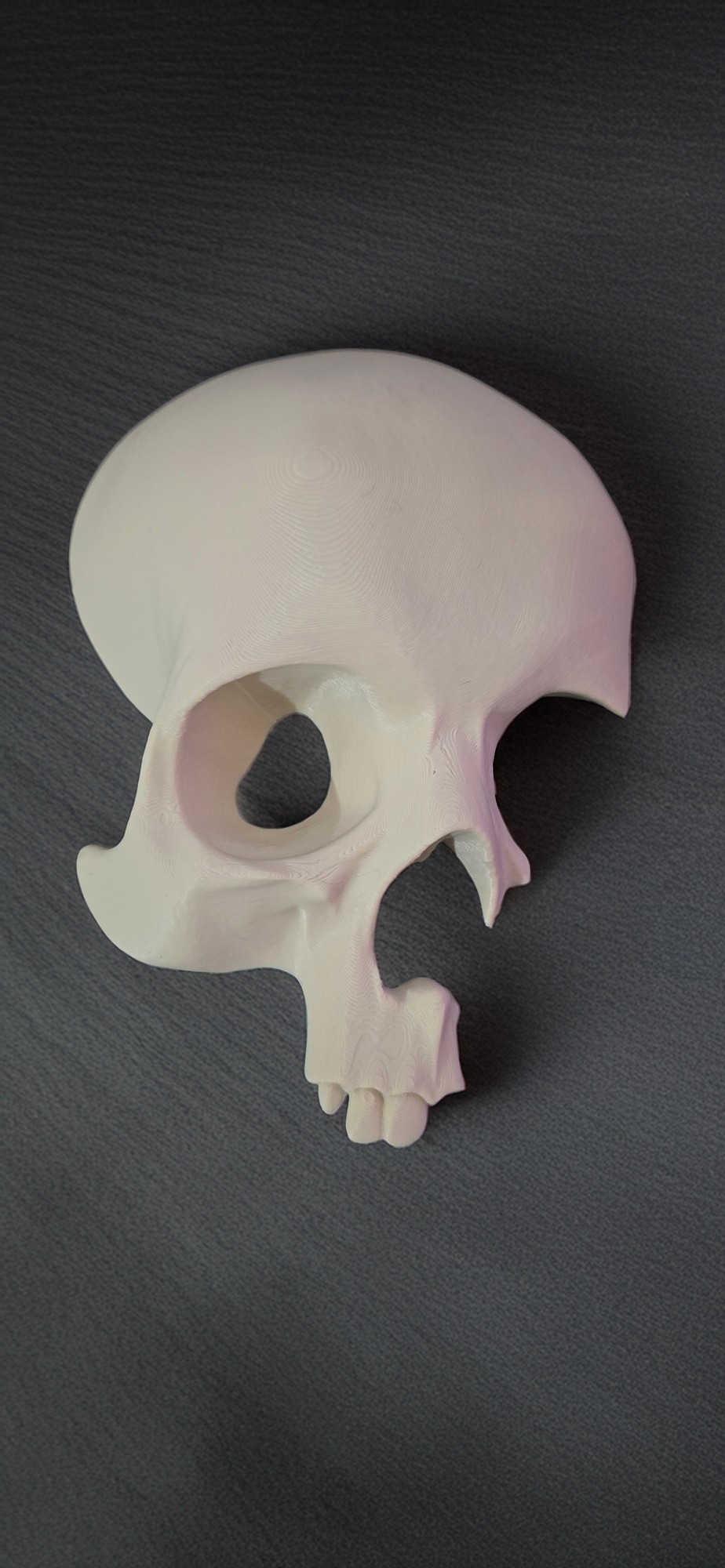 Halloween wall Skull Decoration, Geeky Decor 3D printed by GoblinPrint