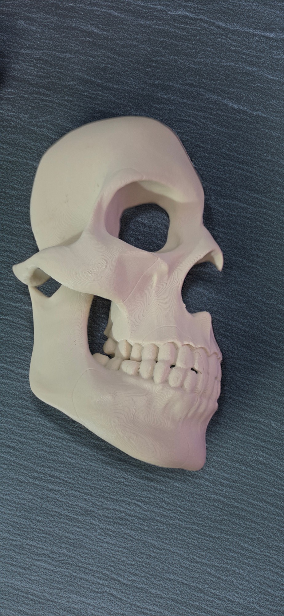 Halloween wall Skull Decoration, Geeky Decor 3D printed by GoblinPrint