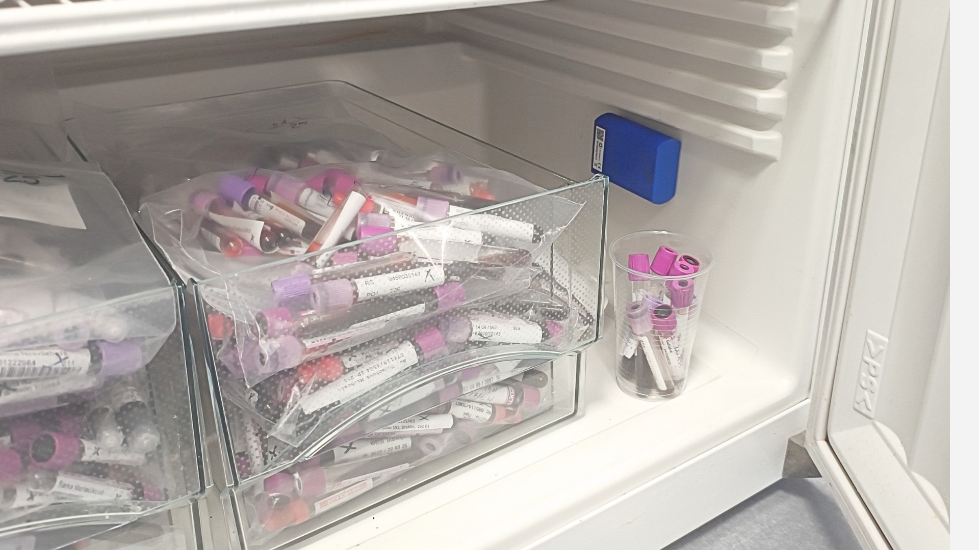 Monitorování teploty léčiv ve farmaceutickém skladu – ColdSense