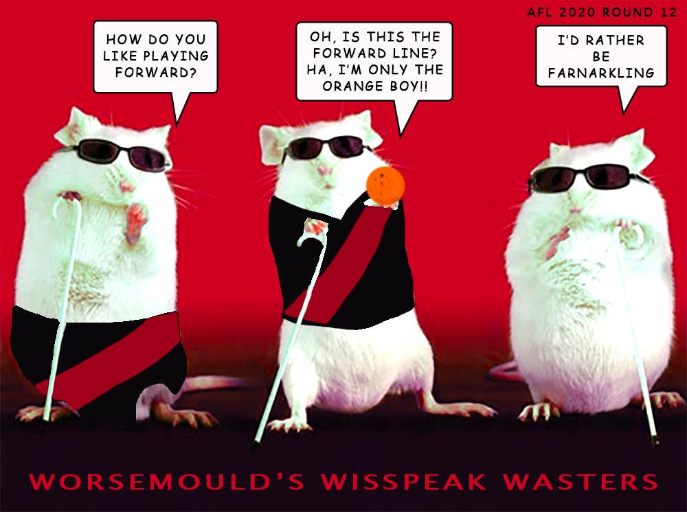 Worsemoulds Wonders — Footy cartoon by Peter Gillies