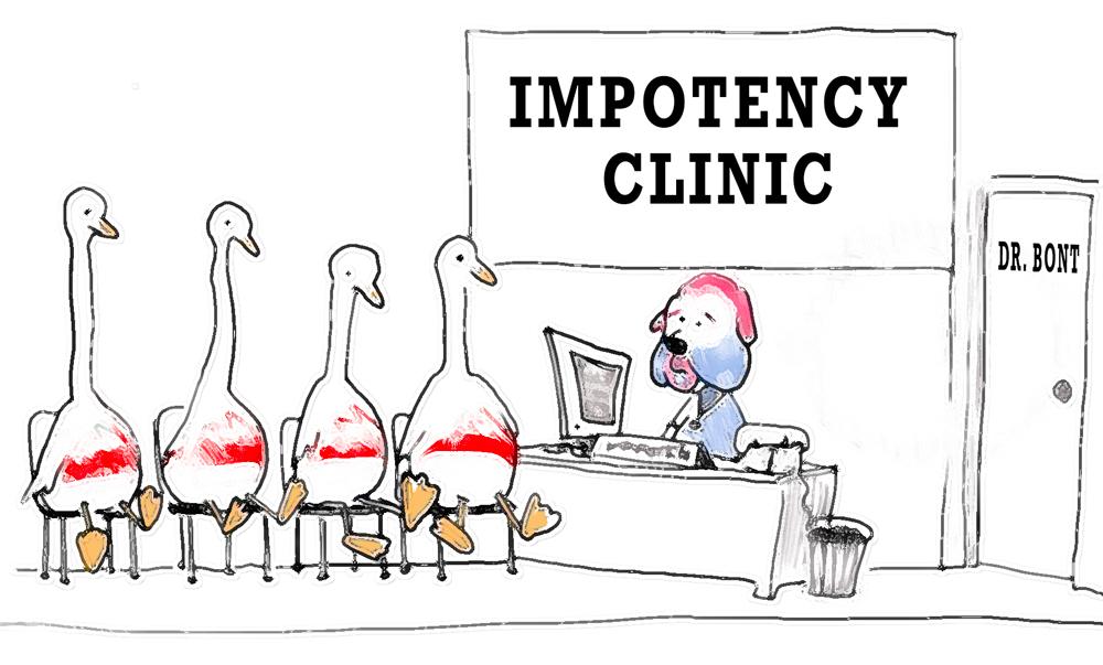 Impotent — Footy cartoon by Peter Gillies