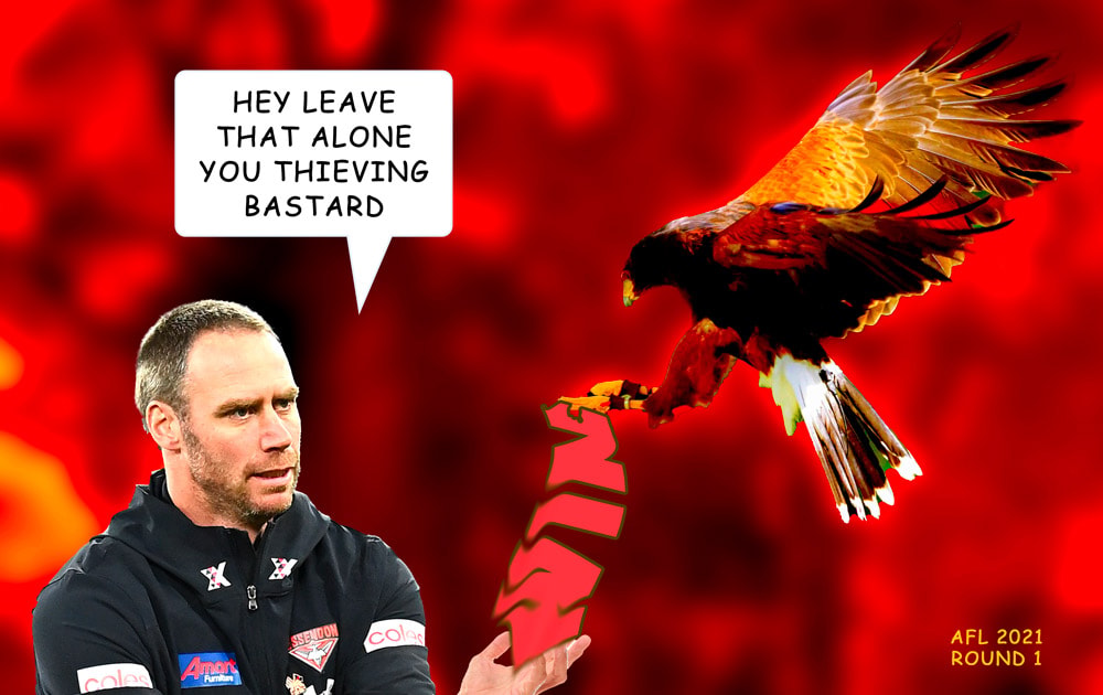 Hawk Thief (alt) — Footy cartoon by Peter Gillies