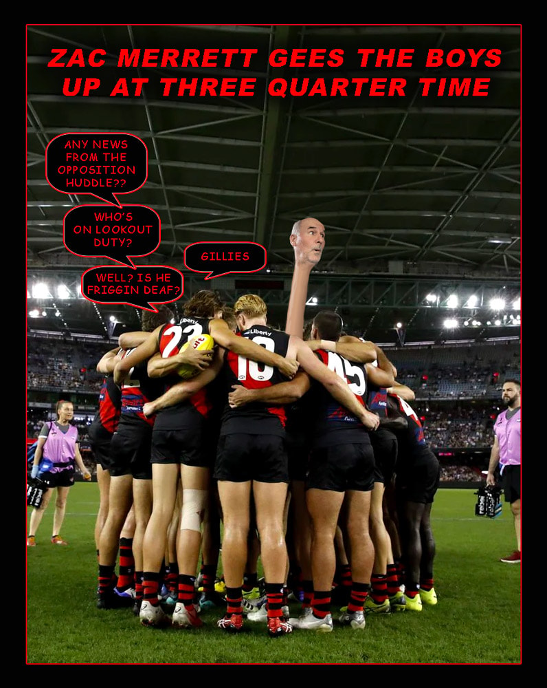 Lookout Duty — Footy cartoon by Peter Gillies