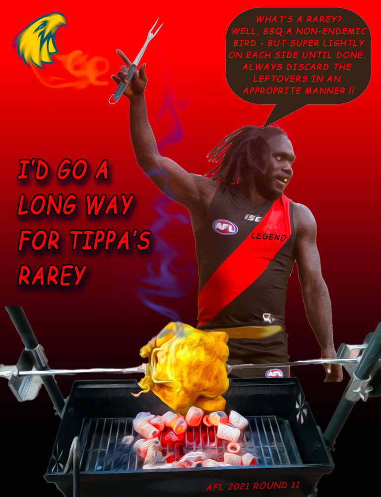 Tippa's Rarey — Footy cartoon by Peter Gillies
