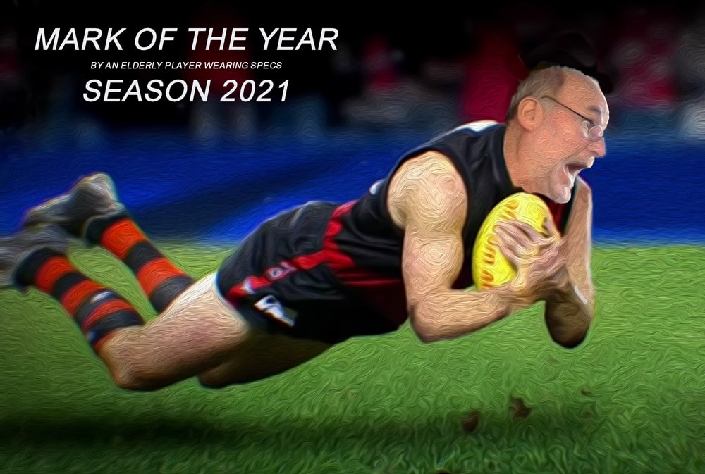 Mark Of The Year — Footy cartoon by Peter Gillies
