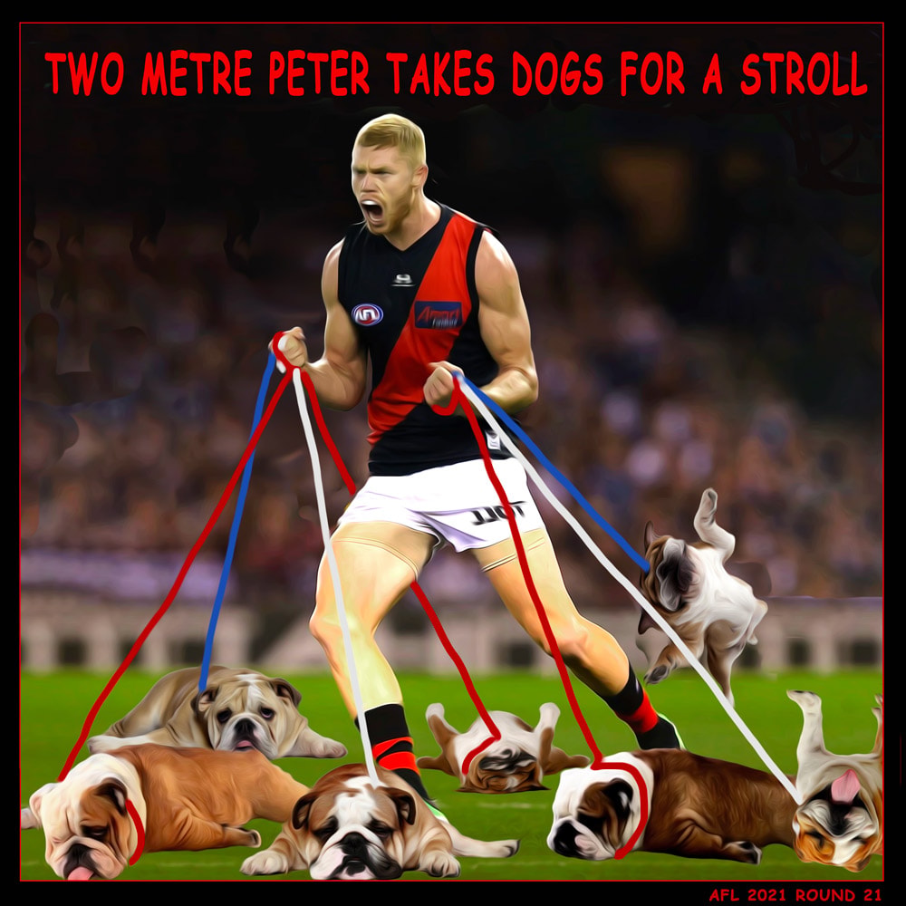 Wright Dog Stroll — Footy cartoon by Peter Gillies