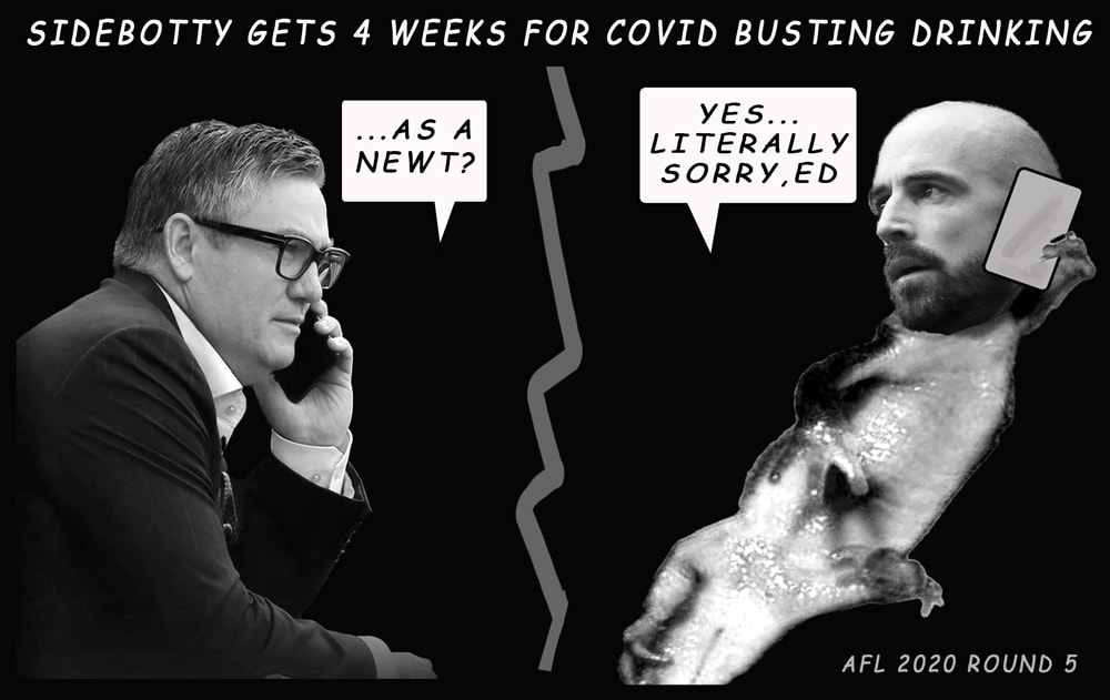 Newt — Footy cartoon by Peter Gillies