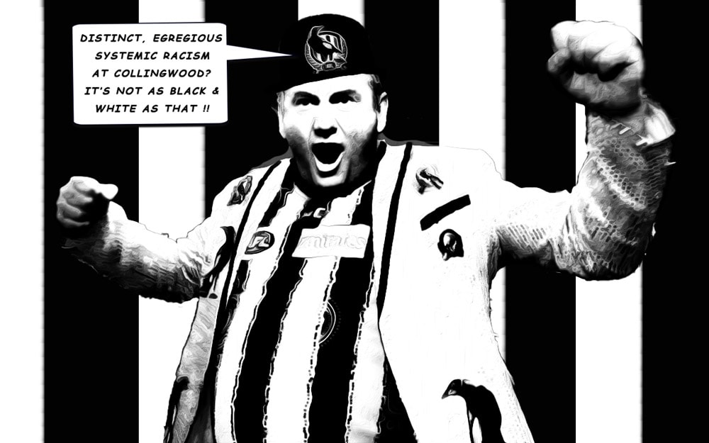 Racism — Footy cartoon by Peter Gillies