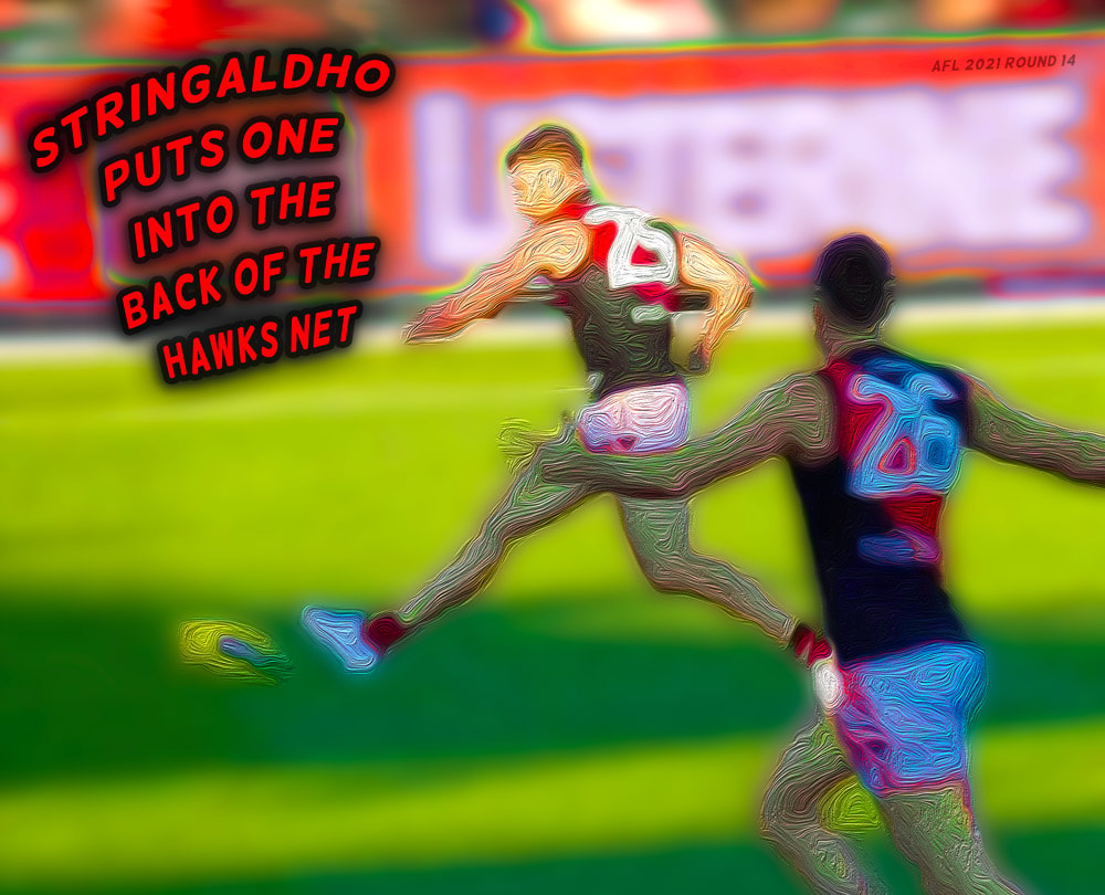 STRINGALDHO — Footy cartoon by Peter Gillies