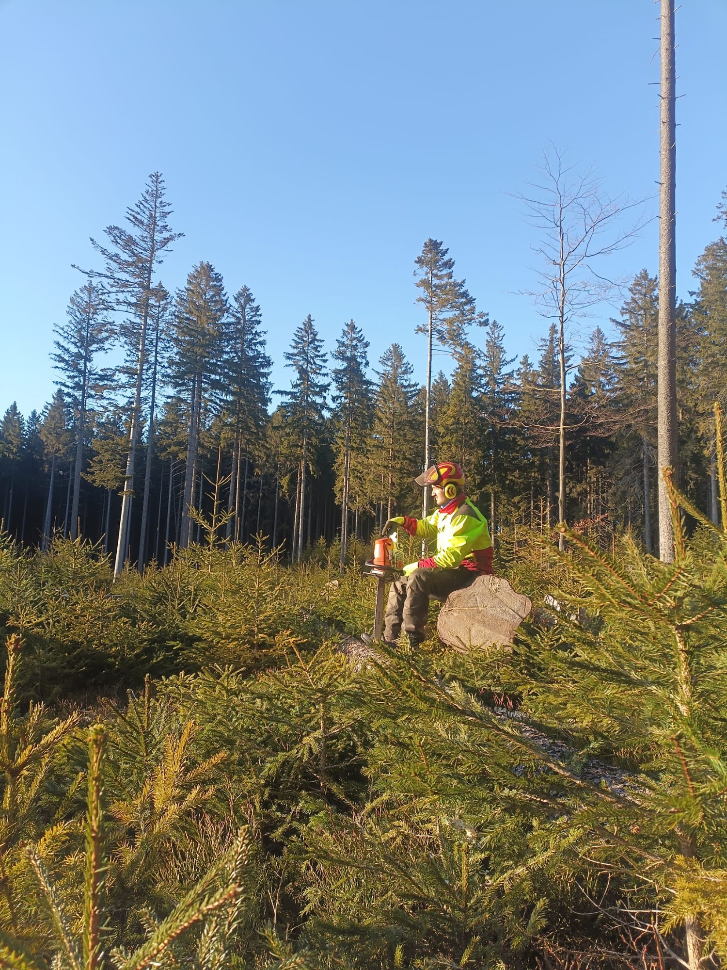 Majitel firmy FOREST PRO v lese