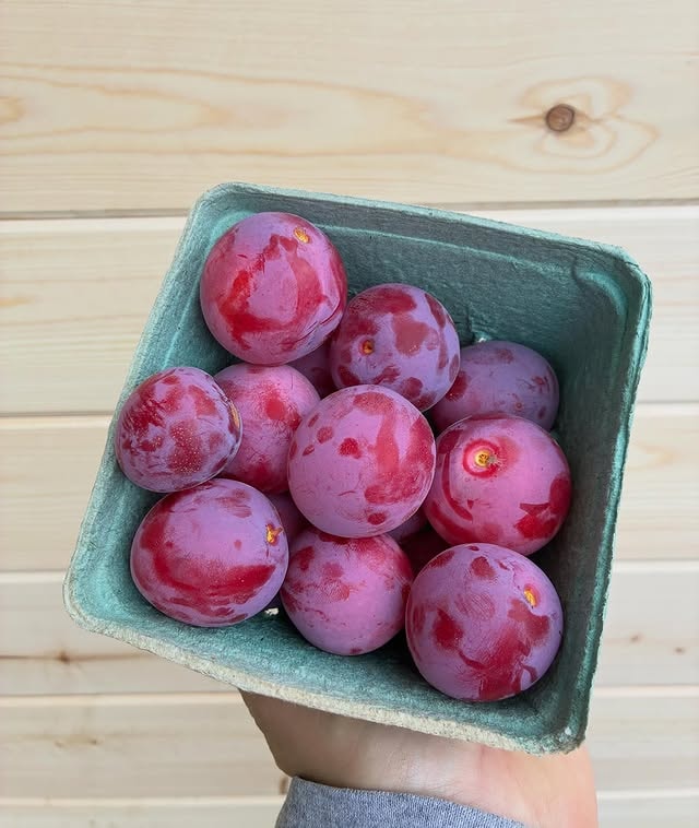 Beeswax candle making materials and tools