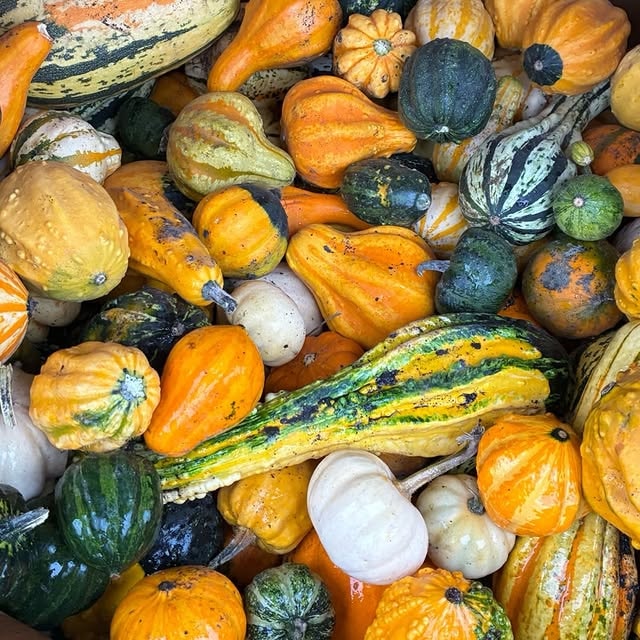 A woman baking bread with care in a warm kitchen