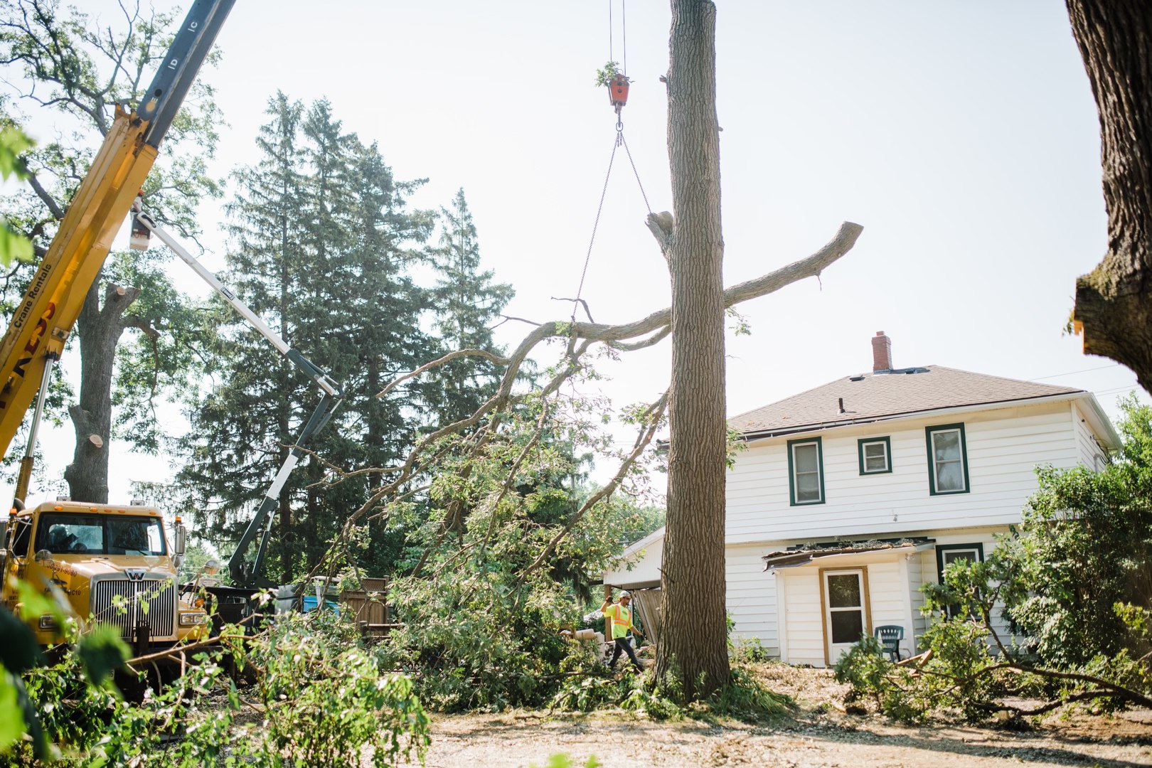Emergency Tree Service