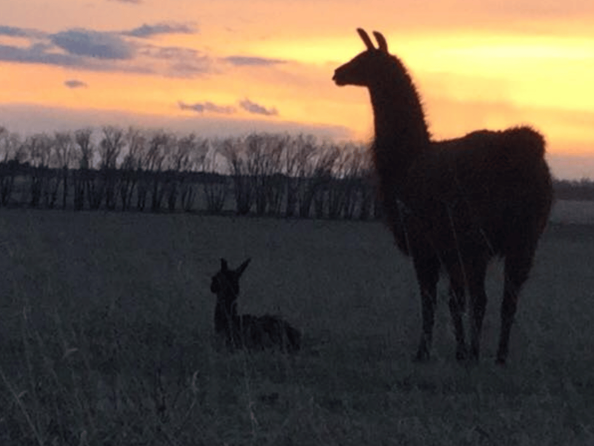 Wide open RV storage lot with clear skies and spacious parking spaces