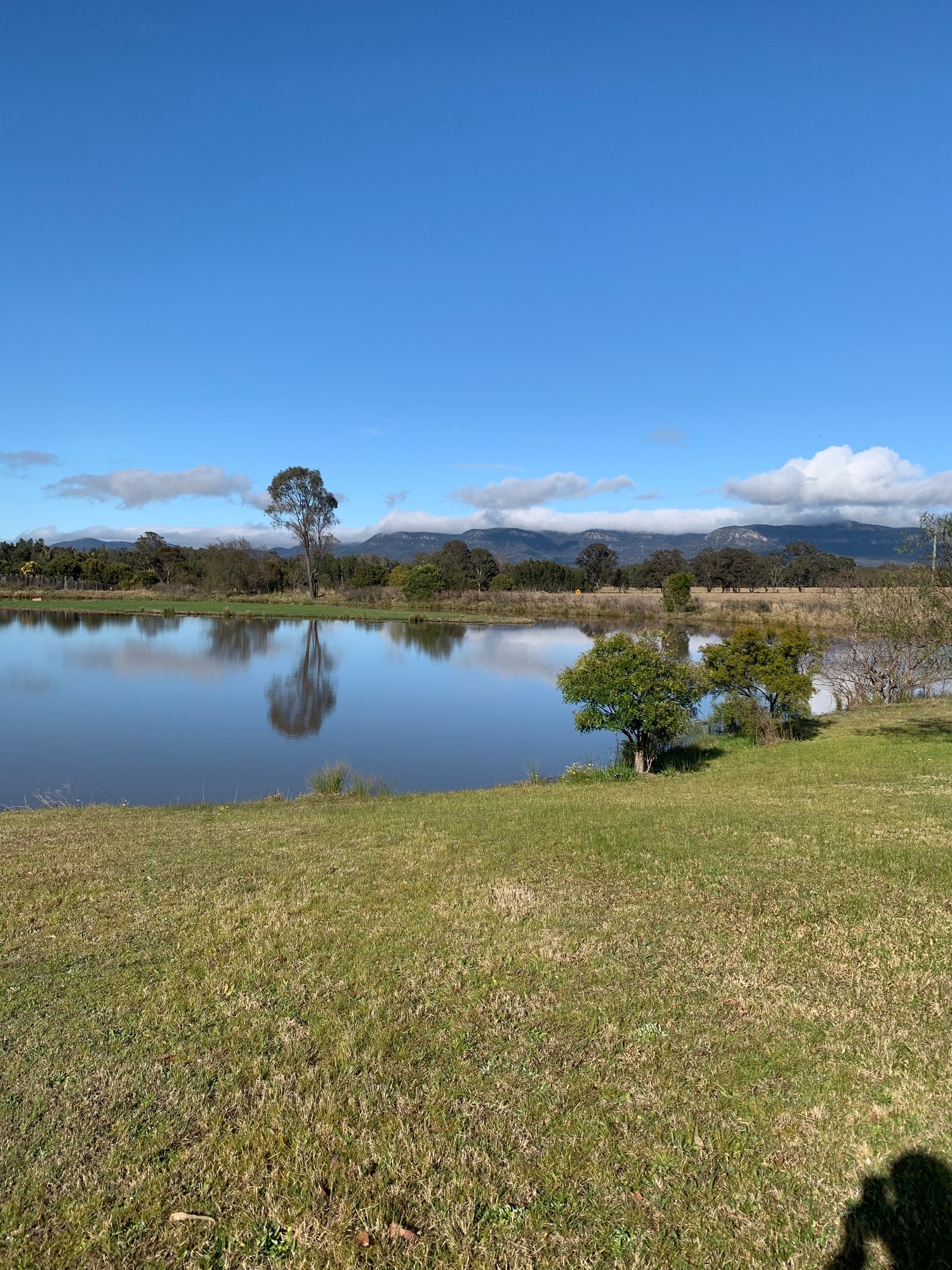 The Margan sign lit up at night in the Hunter Valley