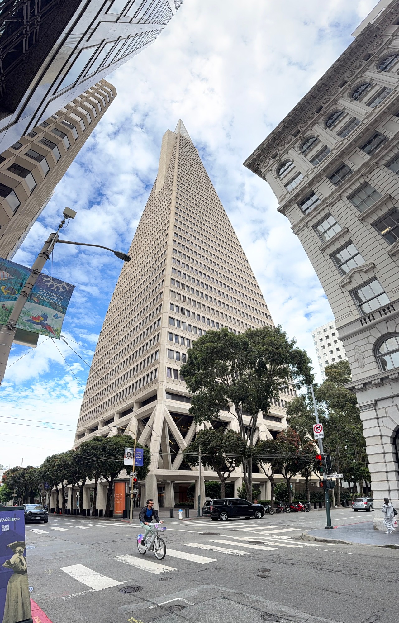 The Transamerica Pyramid rising above San Francisco's Financial District