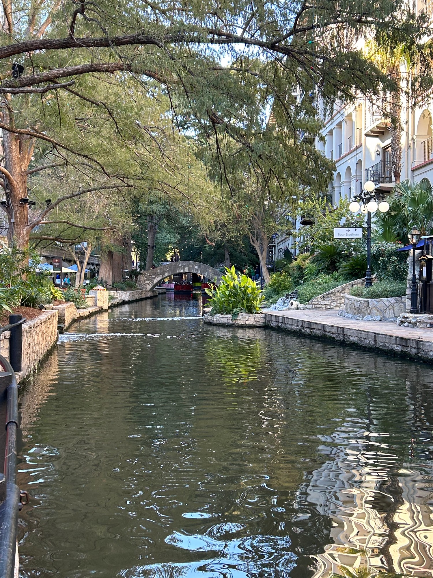 The San Antonio River Walk from the boat, with cypress trees lining the banks