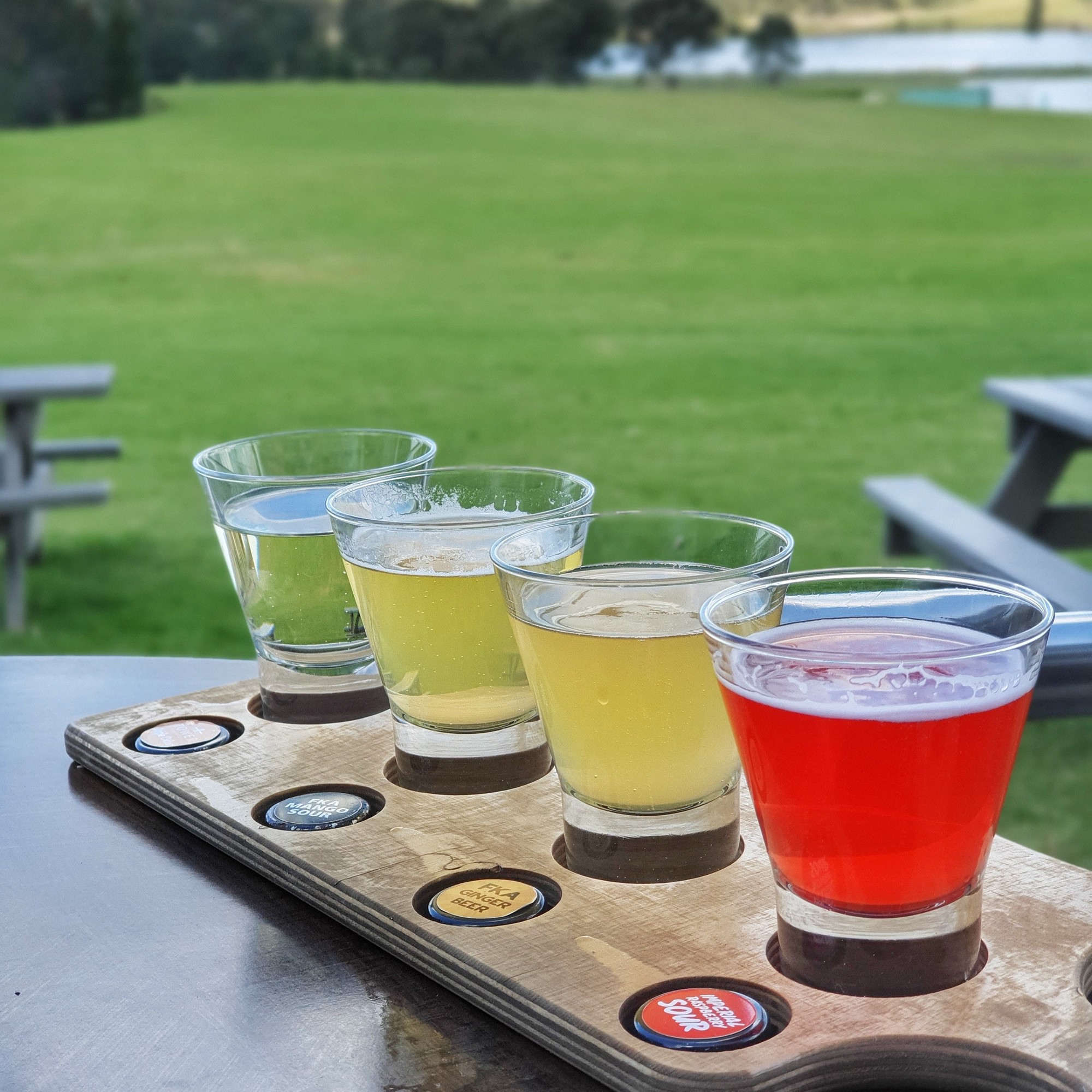 A tasting paddle with a view in the Hunter Valley