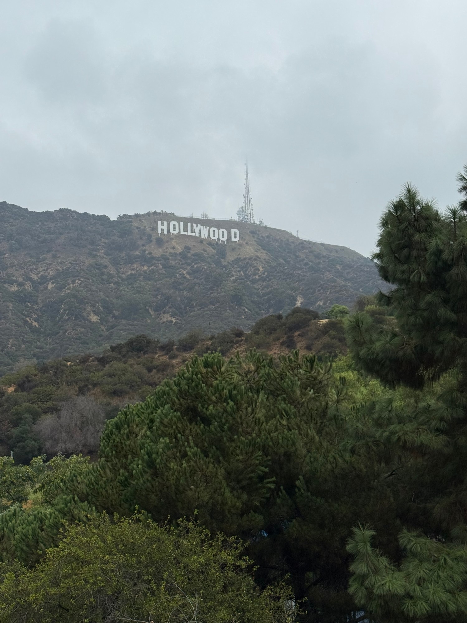 A closer view of the Hollywood Sign from the streets below in Los Angeles